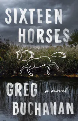 USA hardback edition